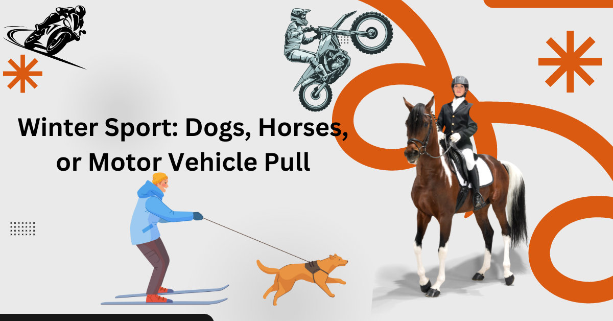 Winter Sport: Dogs, Horses, or Motor Vehicle Pull