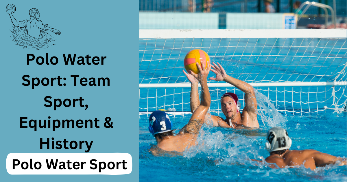 Polo Water Sport: Team Sport, Equipment & History