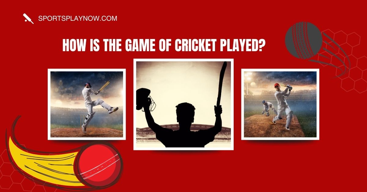 How is the game of cricket played?: How the Game Works